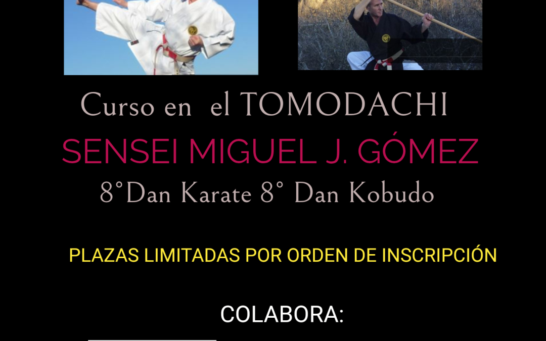 Curso Miguel J. Gómez Calderat